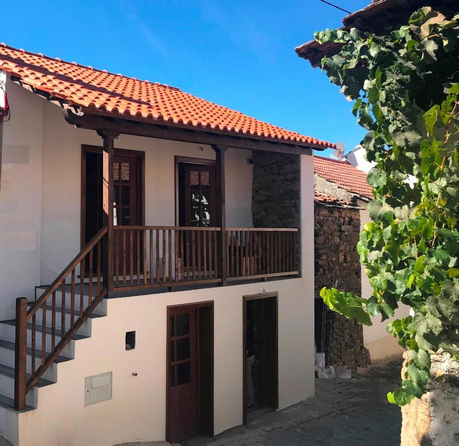 Studio Rural Vilarinho  Экстерьер фото